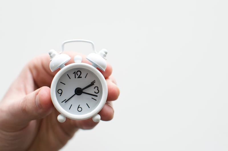 A clock integrated into a bright natural environment representing biological timing