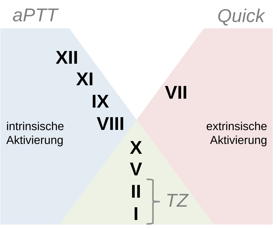 Coagulation Tests (PT/INR) clinical medical diagnostic investigation