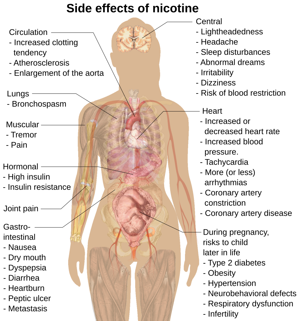Diseases & Conditions