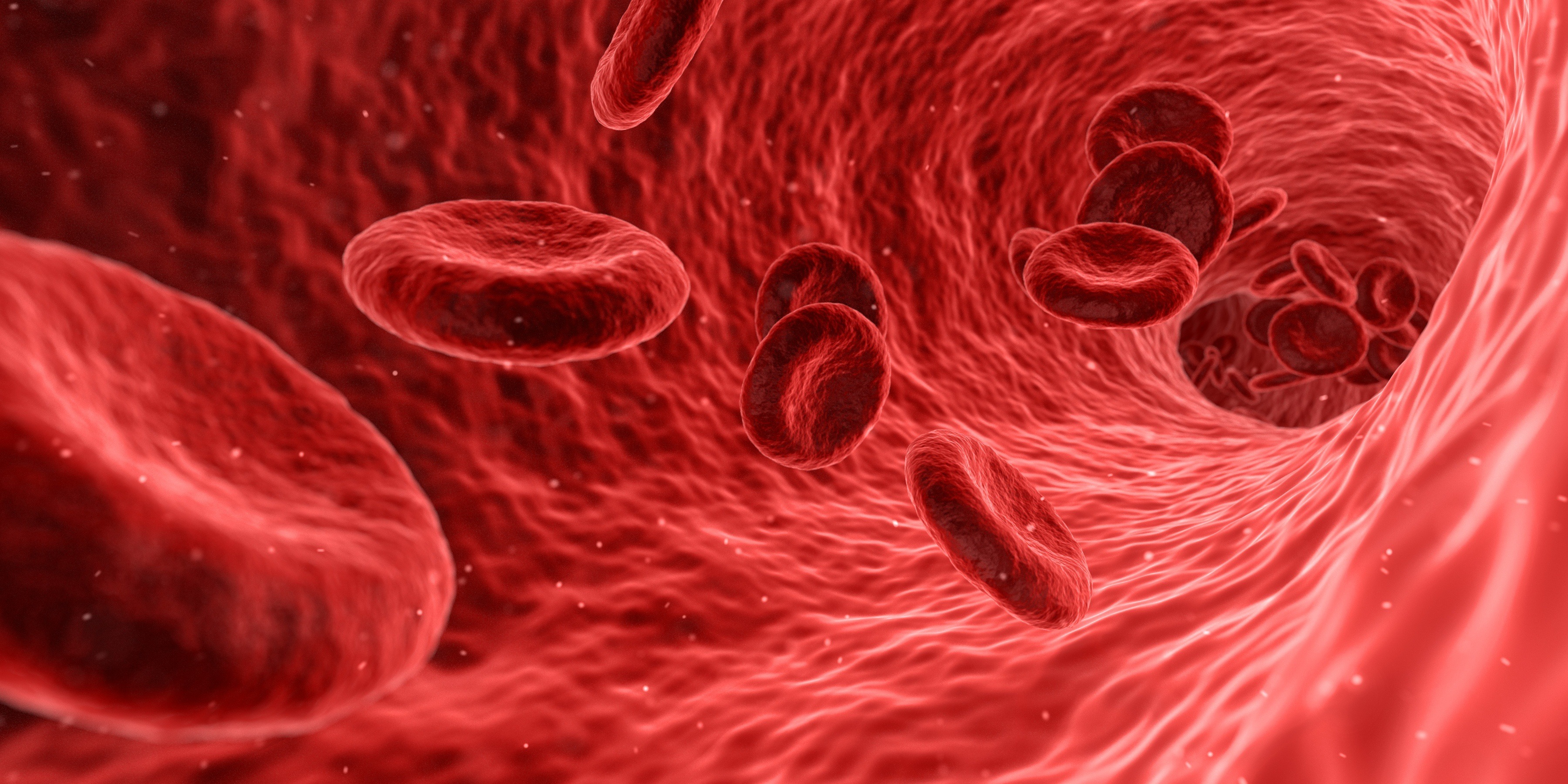 RBC Count diagnostic investigation and medical test