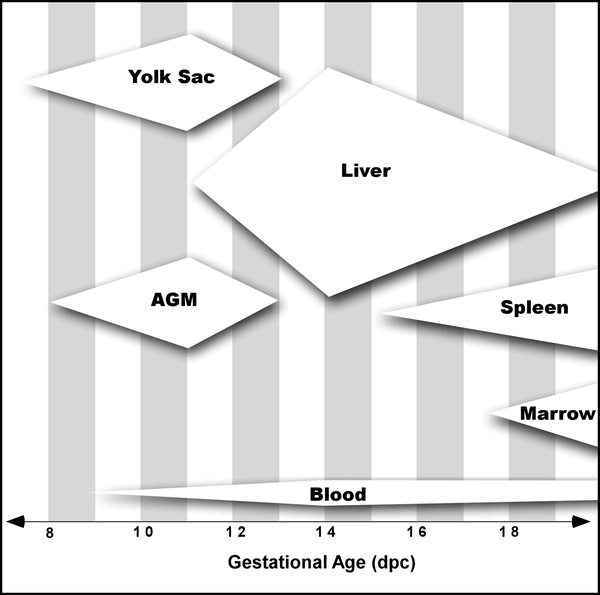 Bleeding clinical reference photography