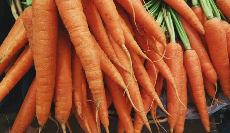 Can Carrots Improve Your Eyesight?